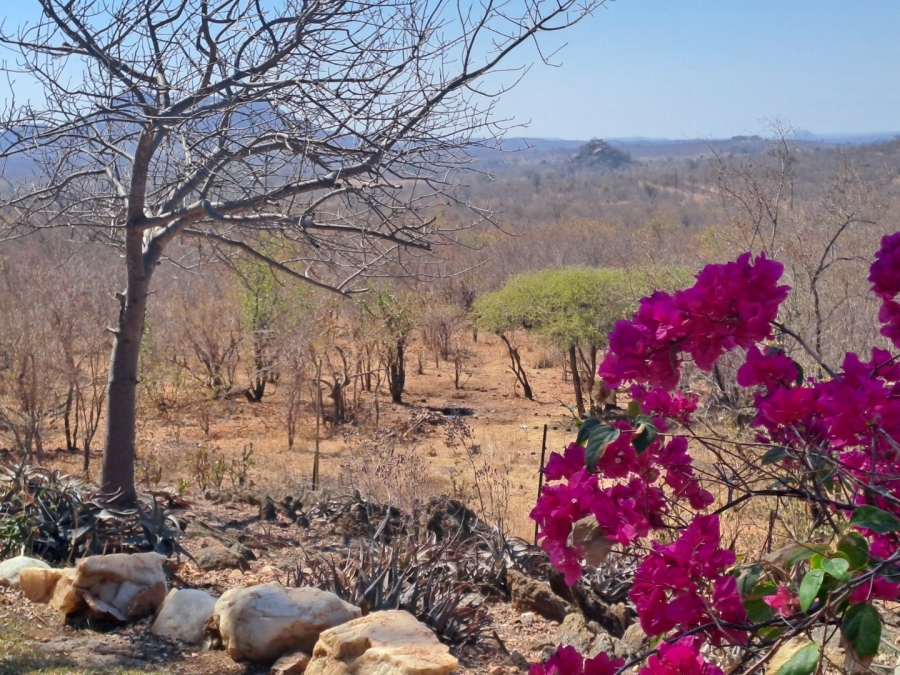3 Bedroom Property for Sale in Grietjie Private Nature Reserve Limpopo