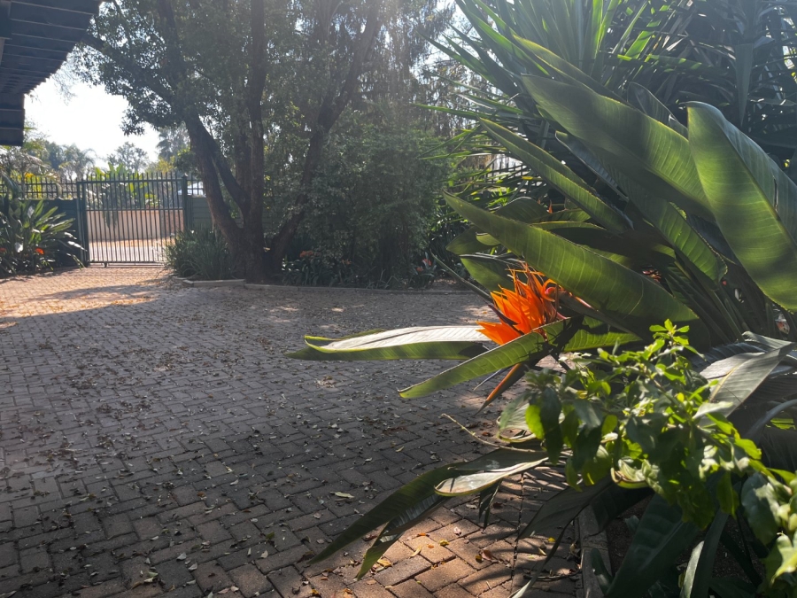 4 Bedroom Property for Sale in Welgelegen Limpopo