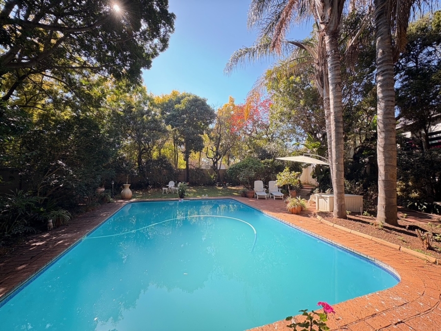 To Let 2 Bedroom Property for Rent in Polokwane Central Limpopo