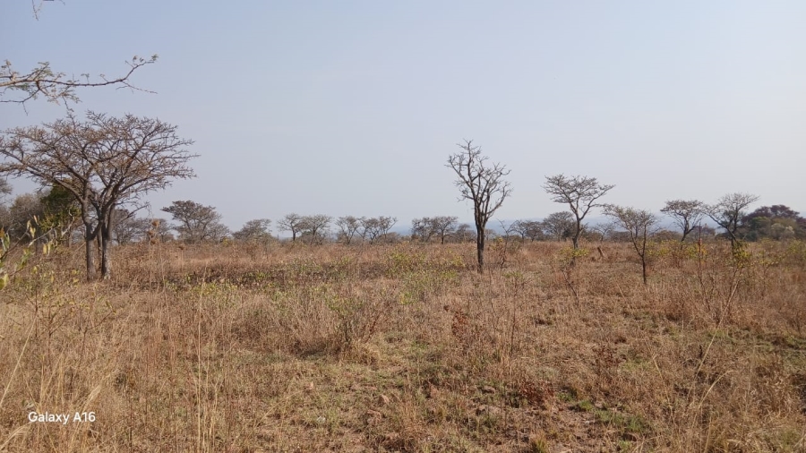 Commercial Property for Sale in Vaalwater Limpopo