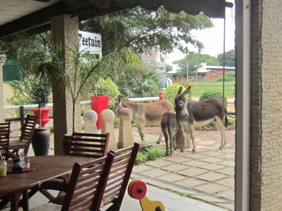 Commercial Property for Sale in Vaalwater Limpopo