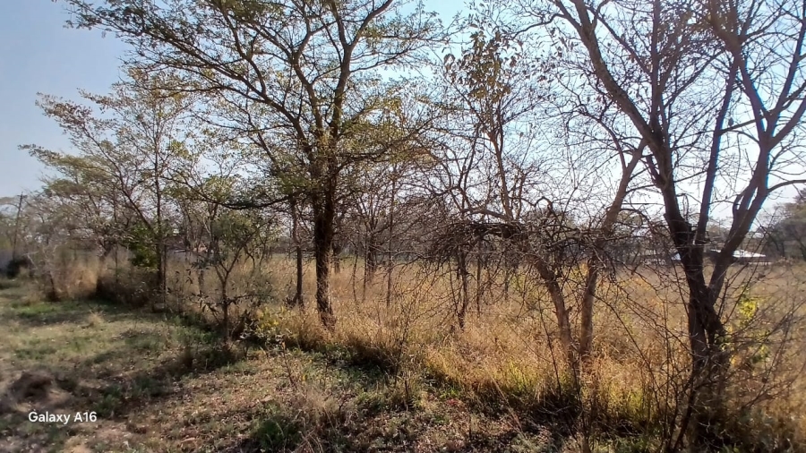  Bedroom Property for Sale in Vaalwater Limpopo