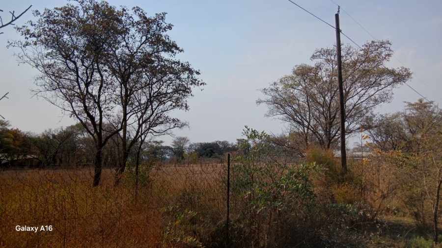  Bedroom Property for Sale in Vaalwater Limpopo