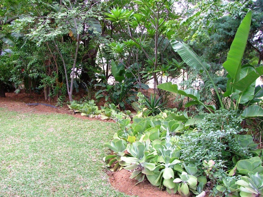 6 Bedroom Property for Sale in Vaalwater Limpopo