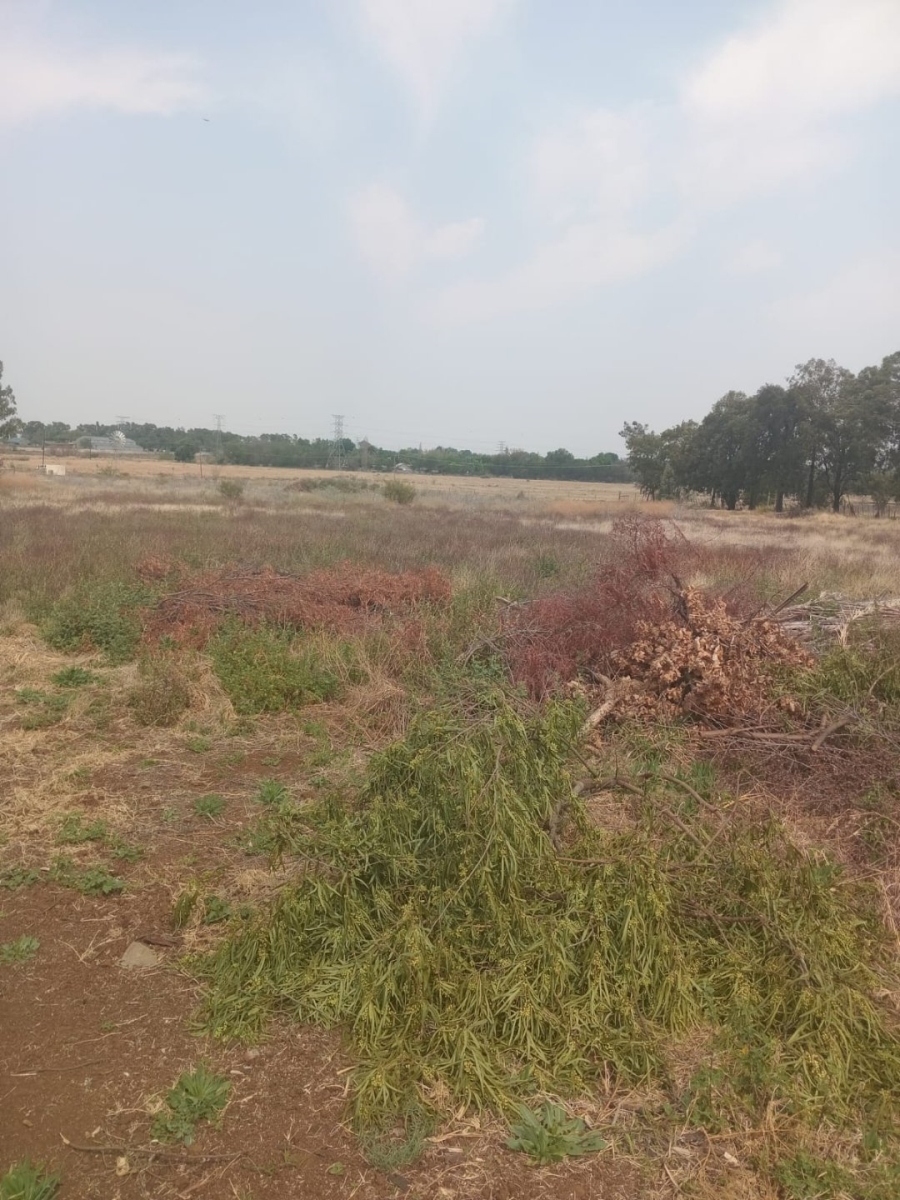 Commercial Property for Sale in Onverwacht Limpopo