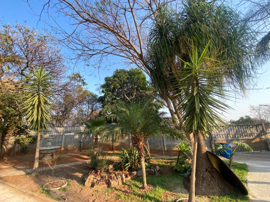 To Let 3 Bedroom Property for Rent in Sterpark Limpopo