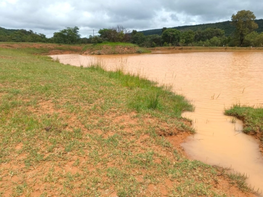 3 Bedroom Property for Sale in Modimolle Limpopo