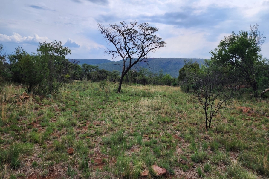 0 Bedroom Property for Sale in Zwartkloof Private Game Reserve Limpopo