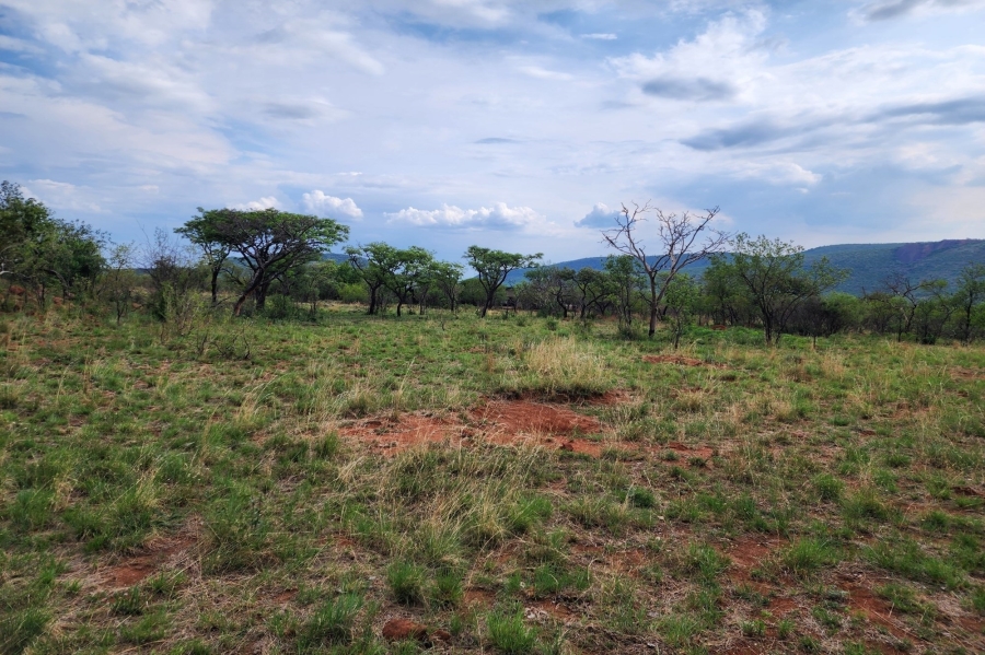 0 Bedroom Property for Sale in Zwartkloof Private Game Reserve Limpopo