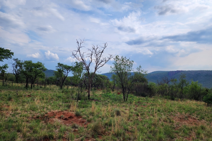 0 Bedroom Property for Sale in Zwartkloof Private Game Reserve Limpopo