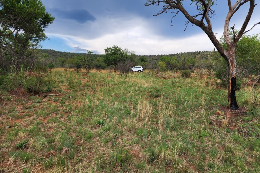 0 Bedroom Property for Sale in Zwartkloof Private Game Reserve Limpopo