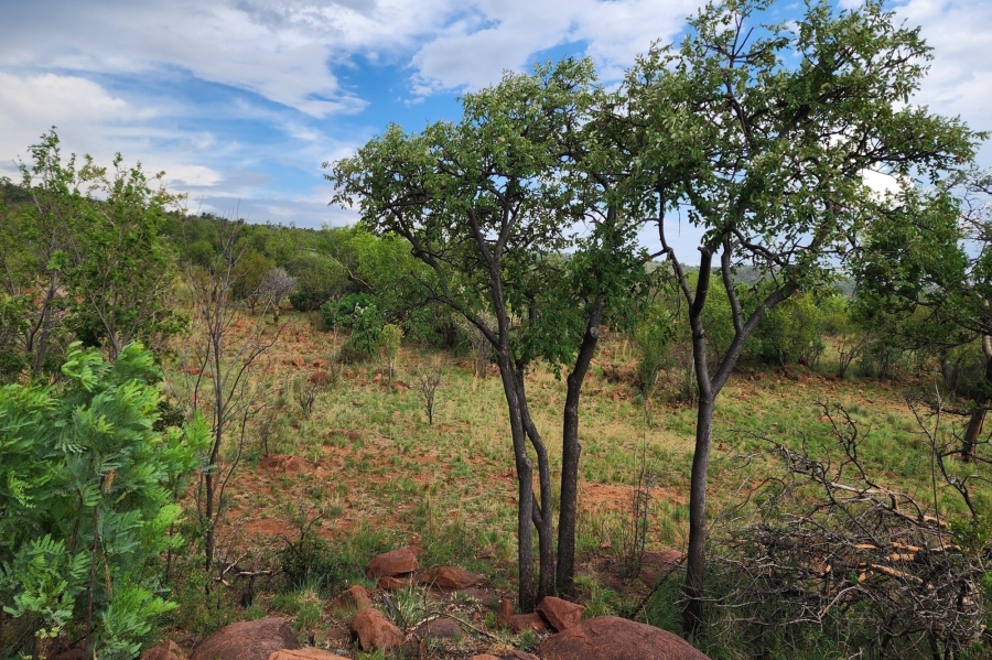 0 Bedroom Property for Sale in Zwartkloof Private Game Reserve Limpopo