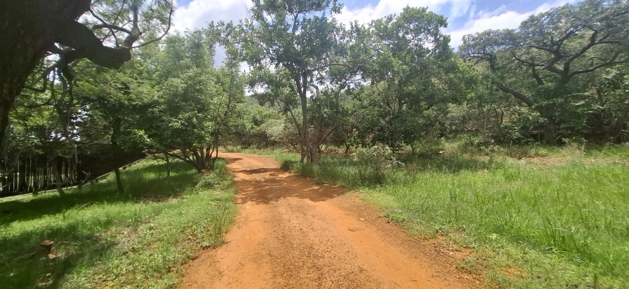 0 Bedroom Property for Sale in Bela Bela Limpopo