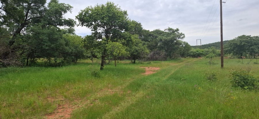 0 Bedroom Property for Sale in Bela Bela Limpopo