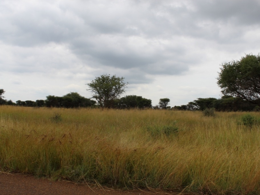0 Bedroom Property for Sale in Northam Limpopo