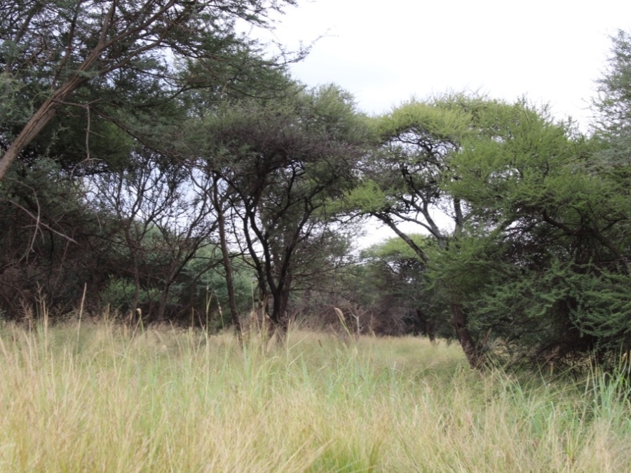 0 Bedroom Property for Sale in Northam Limpopo