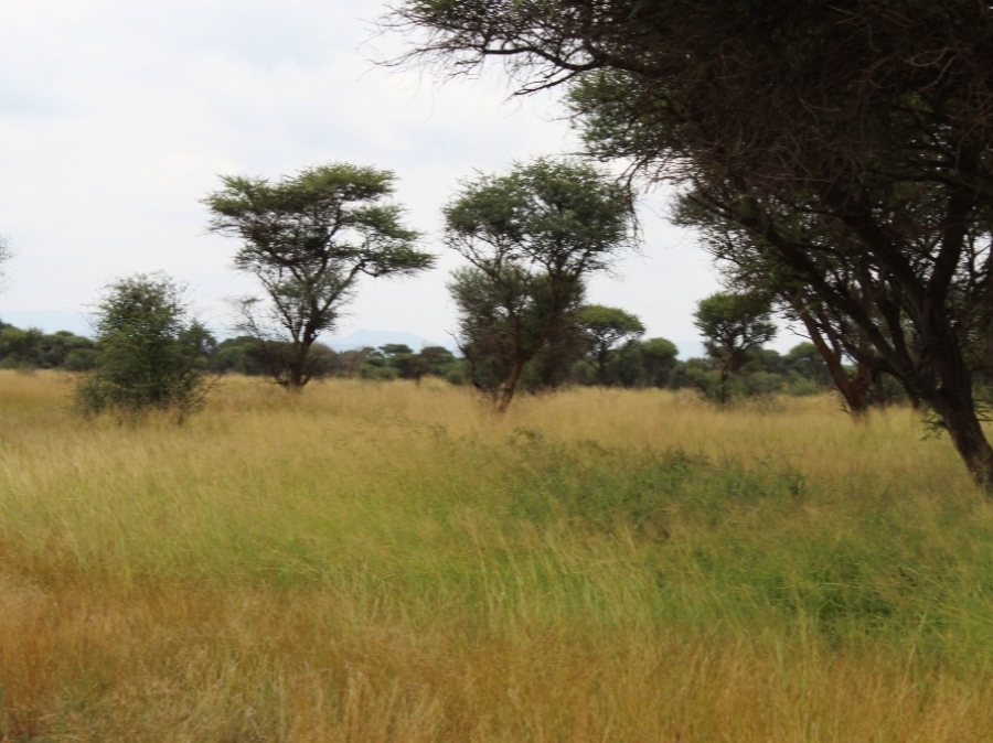 0 Bedroom Property for Sale in Northam Limpopo