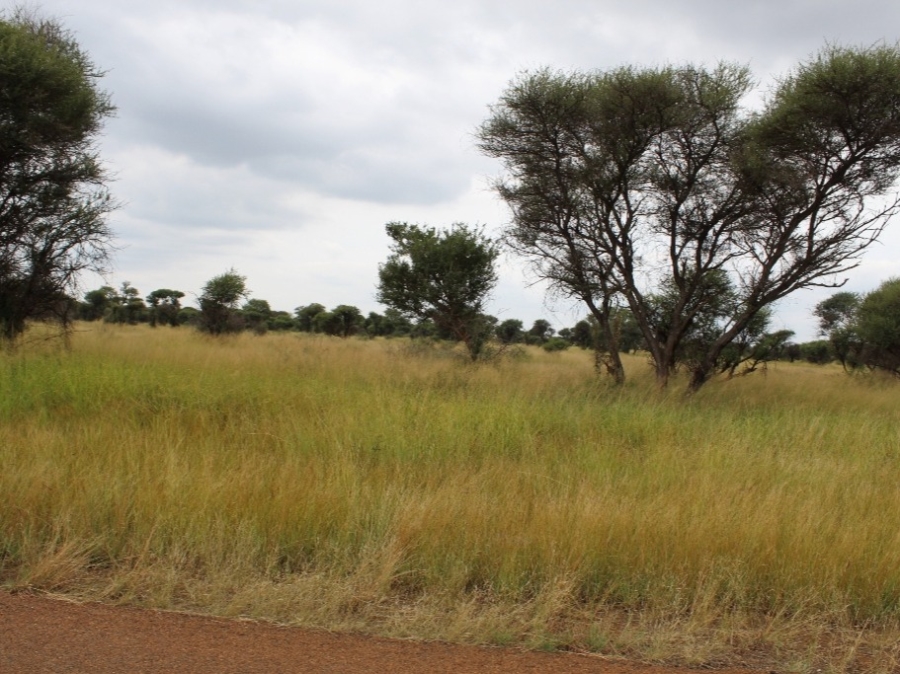 0 Bedroom Property for Sale in Northam Limpopo