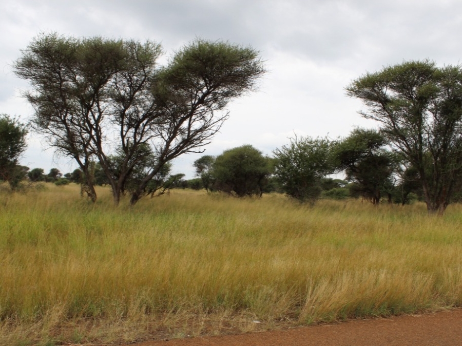 0 Bedroom Property for Sale in Northam Limpopo