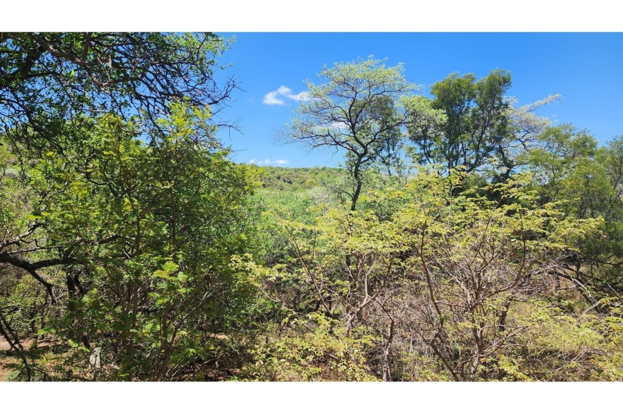 0 Bedroom Property for Sale in Intaba Indle Wilderness Estate Limpopo