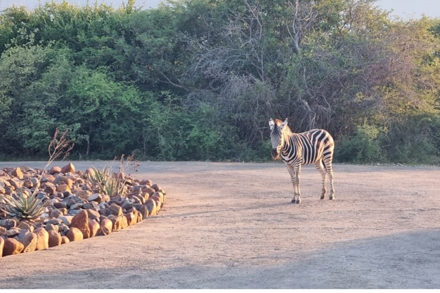 3 Bedroom Property for Sale in Blyde Wildlife Estate Limpopo