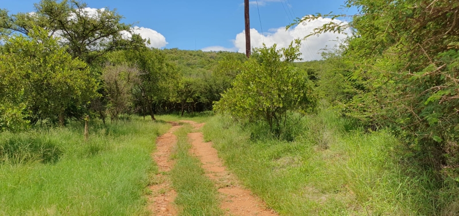 2 Bedroom Property for Sale in Groblersdal Limpopo