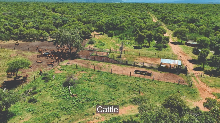 Commercial Property for Sale in Bela Bela Limpopo