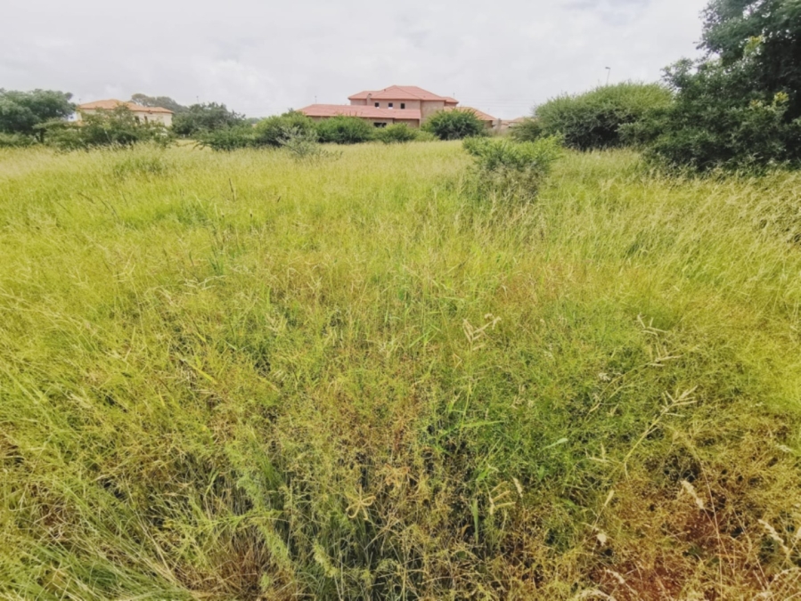 0 Bedroom Property for Sale in Bendor Limpopo