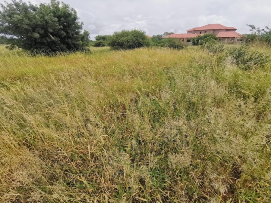 0 Bedroom Property for Sale in Bendor Limpopo