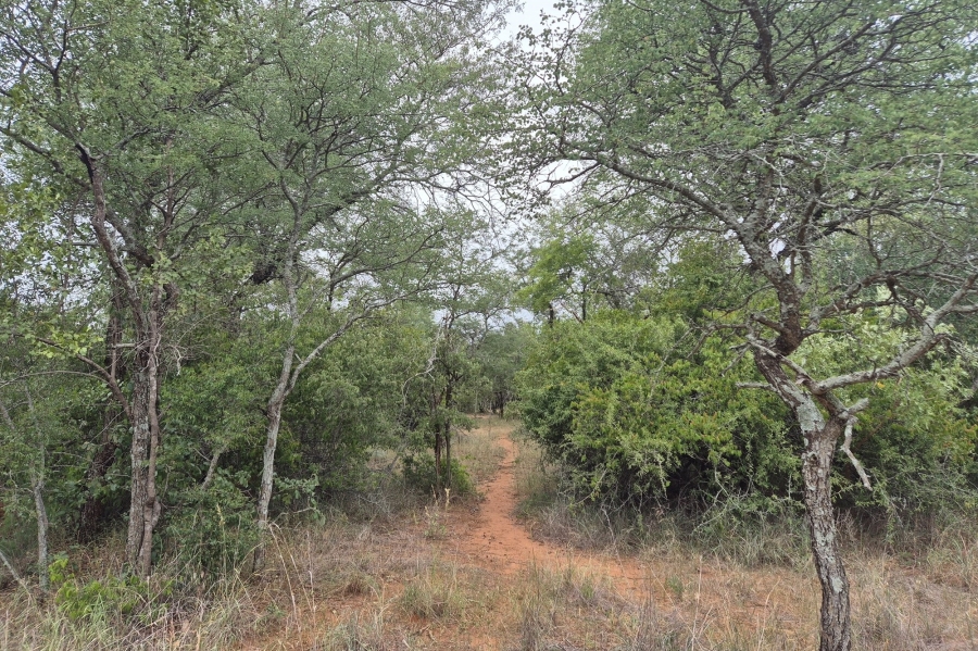 0 Bedroom Property for Sale in Moditlo Wildlife Estate Limpopo