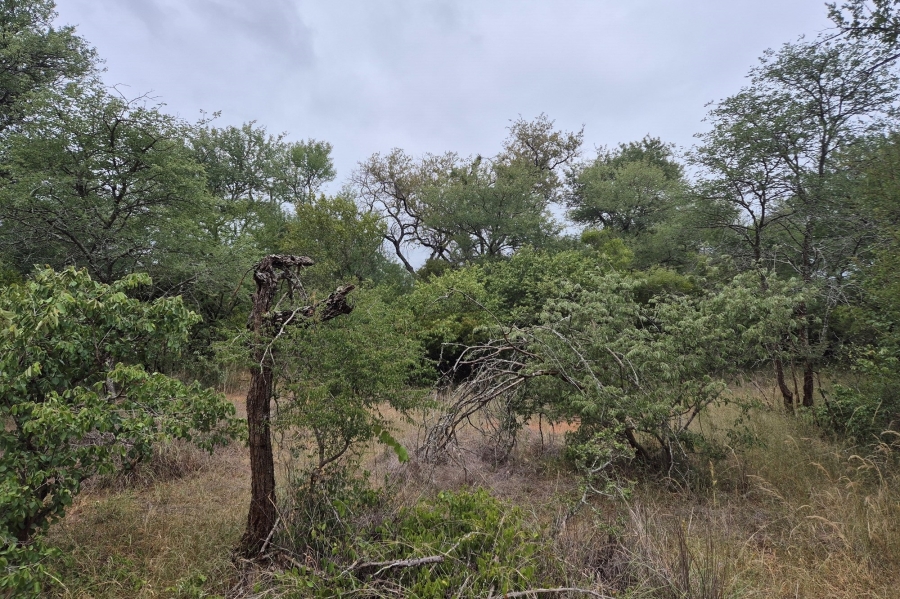 0 Bedroom Property for Sale in Moditlo Wildlife Estate Limpopo