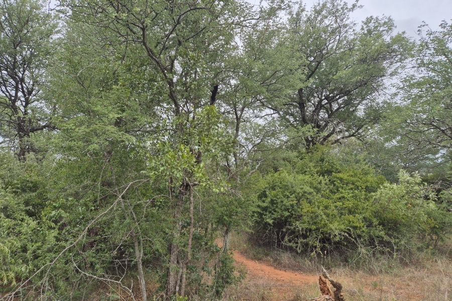 0 Bedroom Property for Sale in Moditlo Wildlife Estate Limpopo