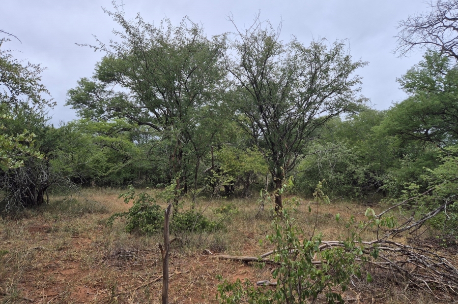 0 Bedroom Property for Sale in Moditlo Wildlife Estate Limpopo