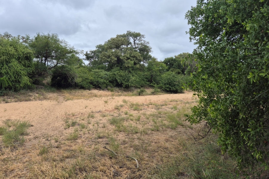 0 Bedroom Property for Sale in Moditlo Wildlife Estate Limpopo