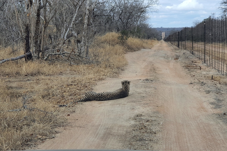 0 Bedroom Property for Sale in Moditlo Wildlife Estate Limpopo