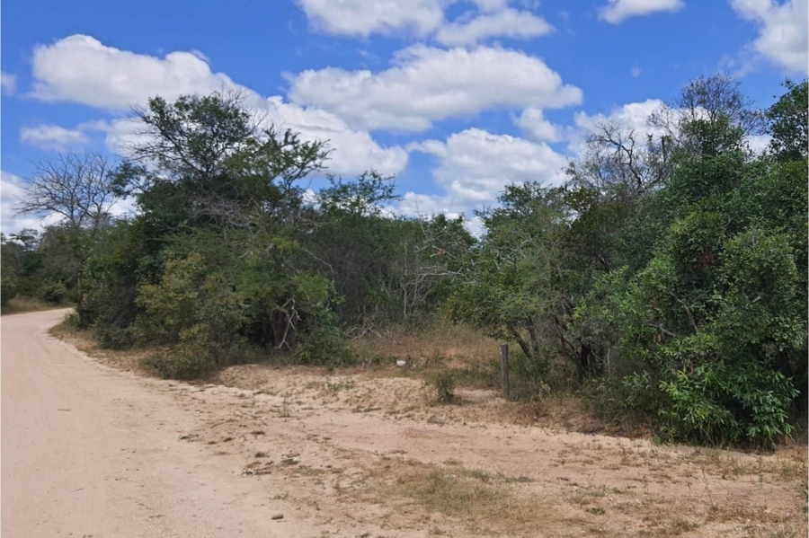 0 Bedroom Property for Sale in Moditlo Wildlife Estate Limpopo