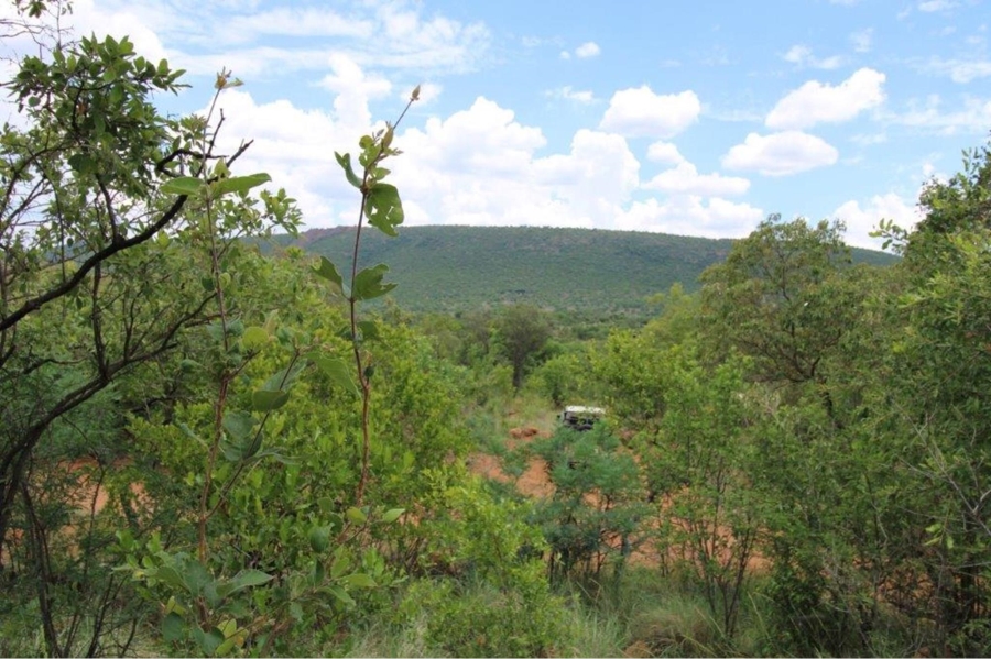 0 Bedroom Property for Sale in Zwartkloof Private Game Reserve Limpopo