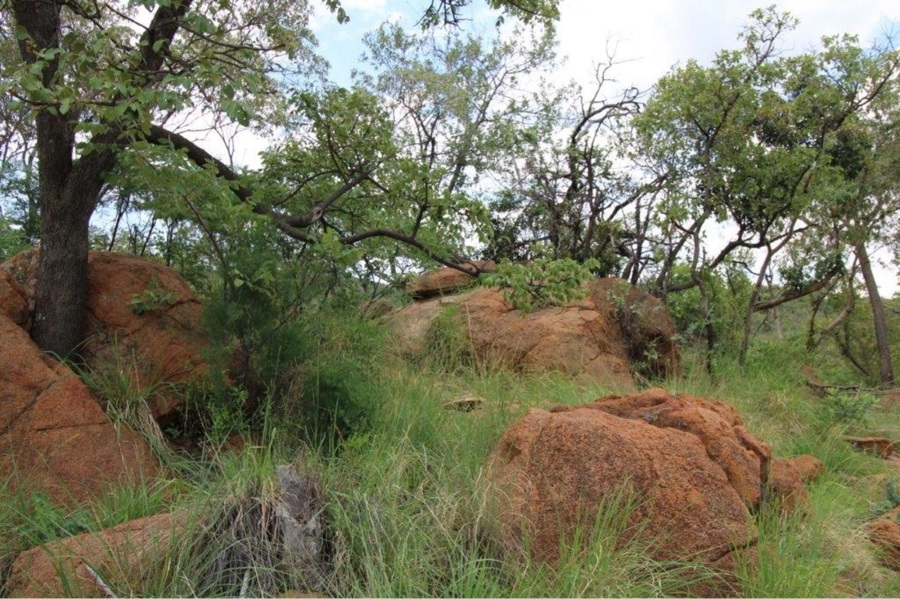 0 Bedroom Property for Sale in Zwartkloof Private Game Reserve Limpopo