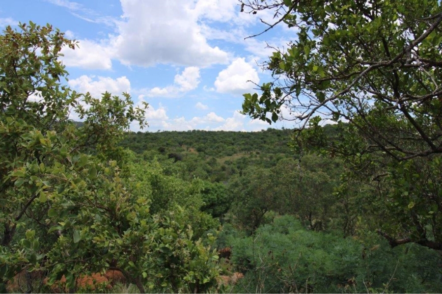 0 Bedroom Property for Sale in Zwartkloof Private Game Reserve Limpopo