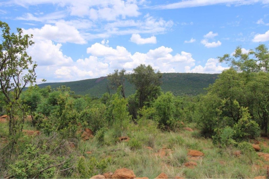 0 Bedroom Property for Sale in Zwartkloof Private Game Reserve Limpopo