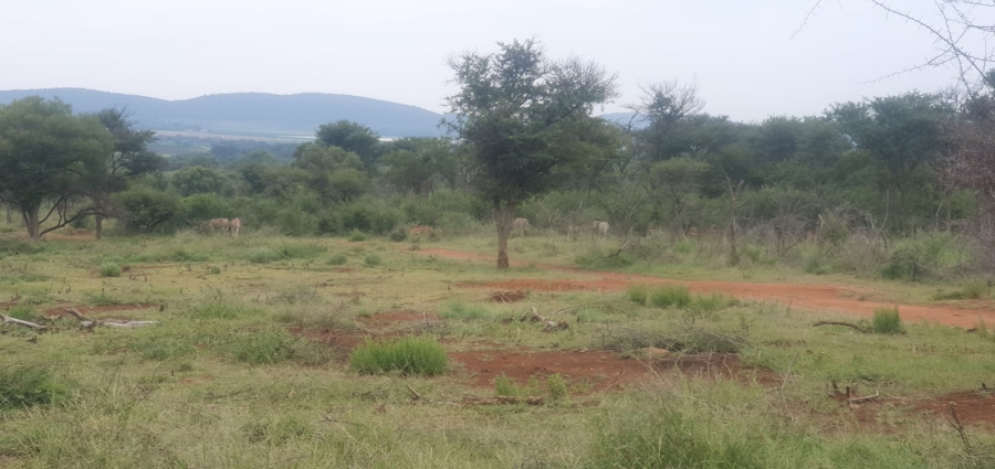 3 Bedroom Property for Sale in Groblersdal Limpopo