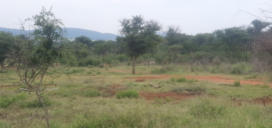 3 Bedroom Property for Sale in Groblersdal Limpopo