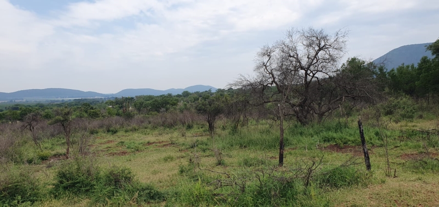 3 Bedroom Property for Sale in Groblersdal Limpopo