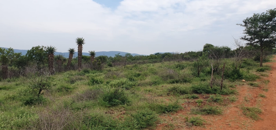 3 Bedroom Property for Sale in Groblersdal Limpopo