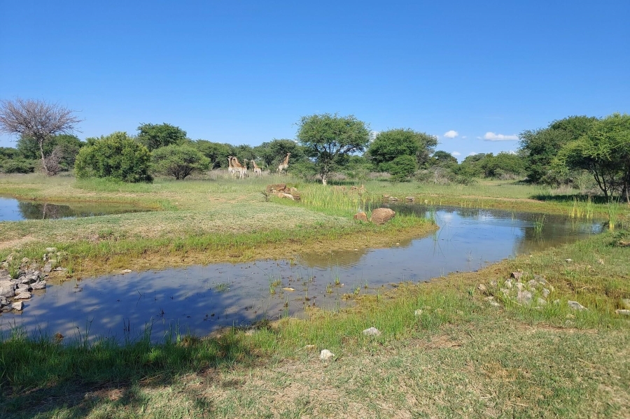 0 Bedroom Property for Sale in Ditholo Wildlife Estate Limpopo