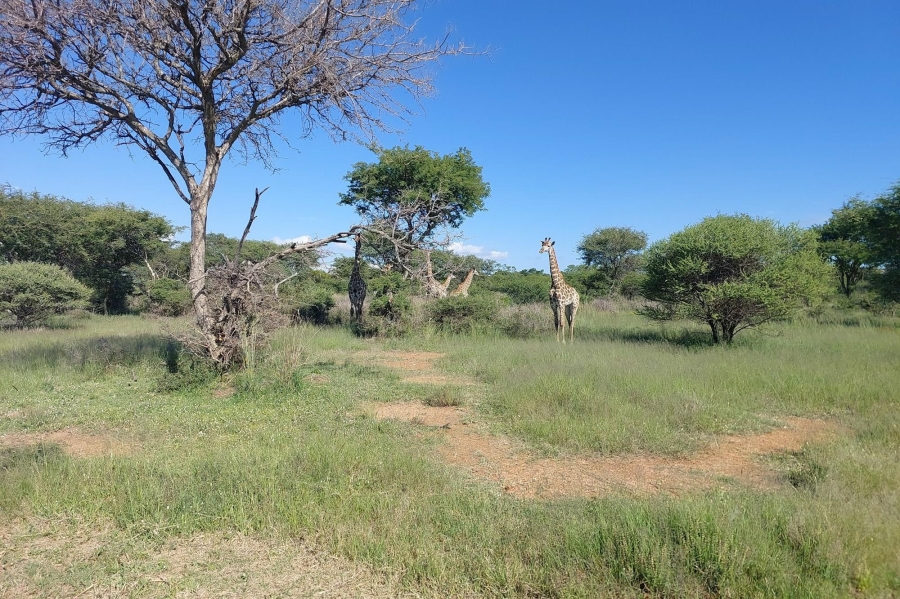 0 Bedroom Property for Sale in Ditholo Wildlife Estate Limpopo