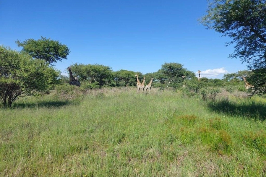 0 Bedroom Property for Sale in Ditholo Wildlife Estate Limpopo