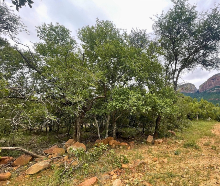 0 Bedroom Property for Sale in Canyon Game Reserve Limpopo