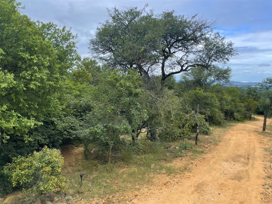 0 Bedroom Property for Sale in Canyon Game Reserve Limpopo