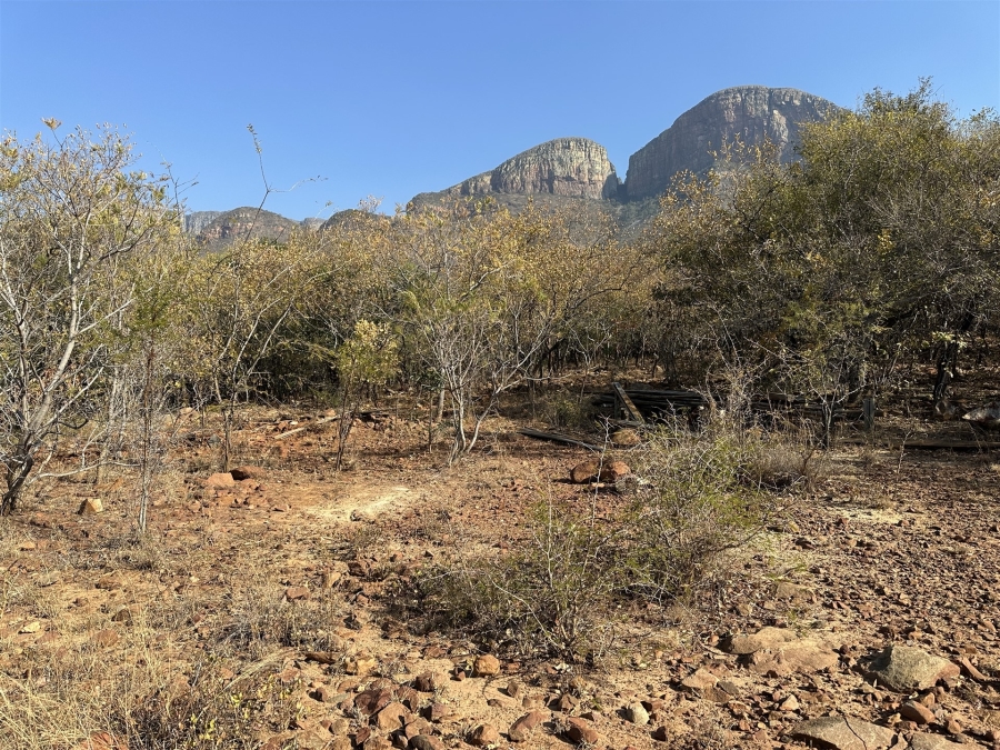 0 Bedroom Property for Sale in Canyon Game Reserve Limpopo